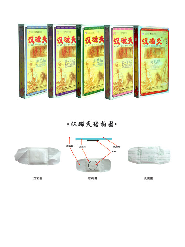 汉磁灸系列产品