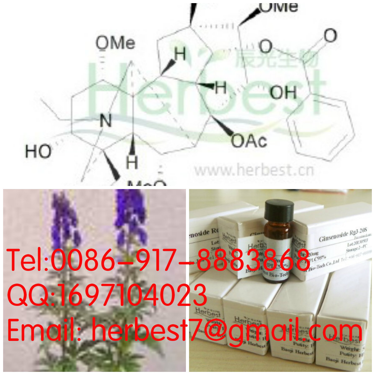 乌头碱；附子精Aconitine302-27-2