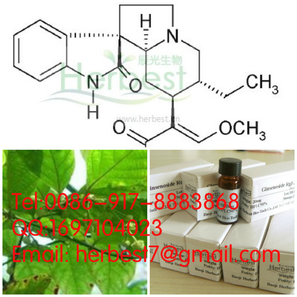 钩藤碱Rhynchophylline76-66-4