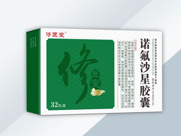 修匠堂  诺氟沙星胶囊